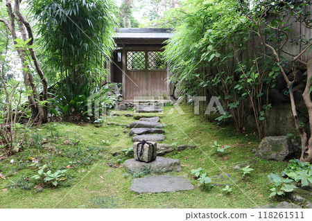 景觀有綠色苔蘚和植物、障礙石、踏腳石方法和大門 景觀有綠色苔蘚和植物、障礙石、踏腳石方法和大門 118261511