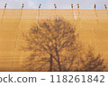 Projected branching 118261842