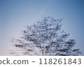 Blue Breath 118261843