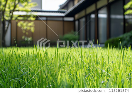 Residential image: Growing weeds, garden maintenance Residential image: Growing weeds, garden maintenance 118261874