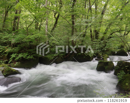 一條清澈的小溪流過綠地 一條清澈的小溪流過綠地 118261919