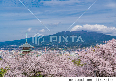【靜岡縣】和平紀念塔外的鹿貫山、富士山櫻花盛開 118262128