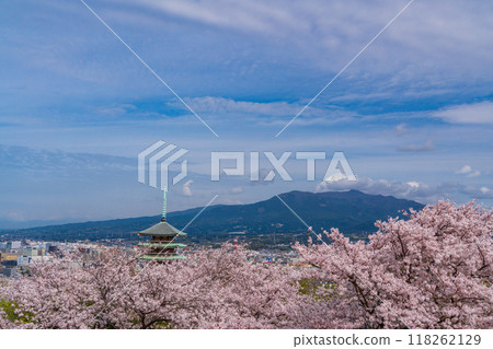 【靜岡縣】和平紀念塔外的鹿貫山、富士山櫻花盛開 118262129