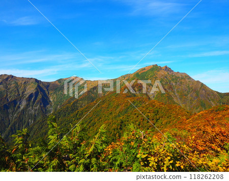 Gunma Tourism, Autumn Attractions, Autumn Foliage of Mt. Tanigawa 118262208