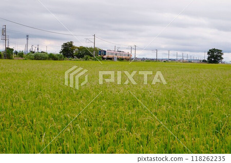 越後線貫穿糧食帶 118262235