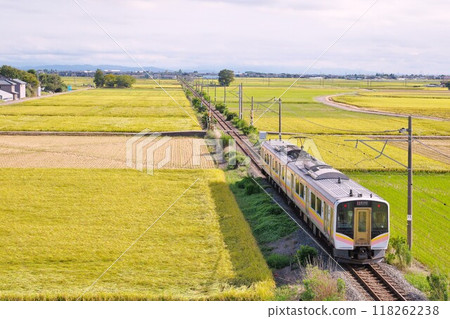 越後線貫穿糧食帶 118262238