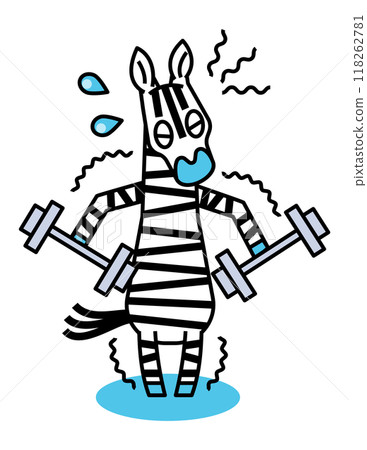 斑馬正在進行肌肉訓練以增強體質 118262781