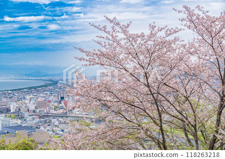[Shizuoka Prefecture] View of Numazu cityscape from Mount Kanuki with cherry blossoms in full bloom 118263218