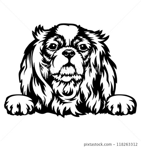 Peeking Spaniel - Dog lover owner gift - Dog cut file - Peeking Dog Cut Stencil Peeking Spaniel - Dog lover owner gift - Dog cut file - Peeking Dog Cut Stencil 118263312