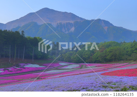 Riyama Park Shiba Sakura no Oka 118264135