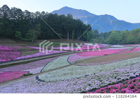 Riyama Park Shiba Sakura no Oka 118264164