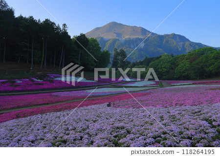 Riyama Park Shiba Sakura no Oka 118264195