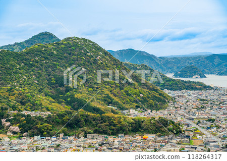 [靜岡縣] 鮮綠的沼津阿爾卑斯山上盛開的野櫻花和伊豆的景色 118264317
