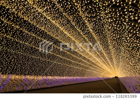 【光之隧道】名花之裡燈飾 118265399