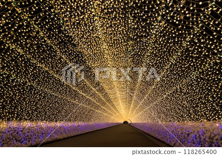 [Tunnel of Light] Nabana no Sato Illumination 118265400