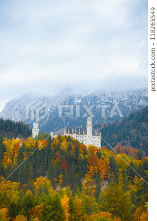 Neuschwanstein castle in Germany 118265549