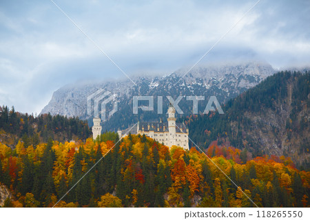 Neuschwanstein castle in Germany 118265550