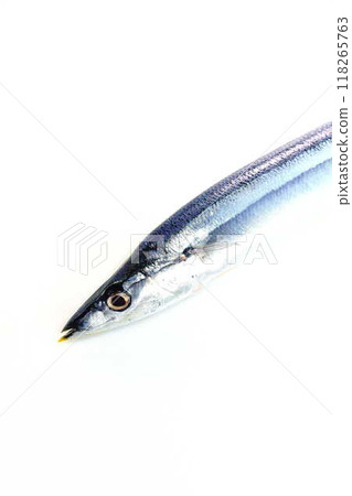 Sanma Sanma Sanma 118265763