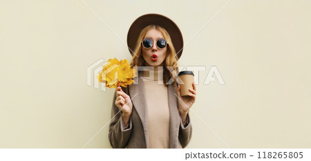 Autumn portrait of beautiful surprised woman with yellow maple leaves, stylish emotional girl Autumn portrait of beautiful surprised woman with yellow maple leaves, stylish emotional girl 118265805