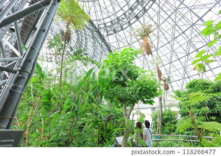 Yume no Island Tropical Botanic Garden Yume no Island Tropical Botanic Garden 118266477