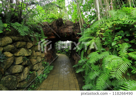 Yume no Island Tropical Botanic Garden Yume no Island Tropical Botanic Garden 118266490