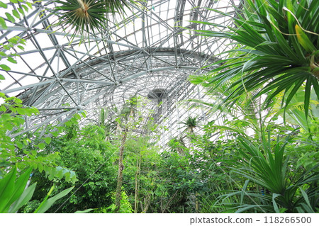 Yume no Island Tropical Botanic Garden Yume no Island Tropical Botanic Garden 118266500