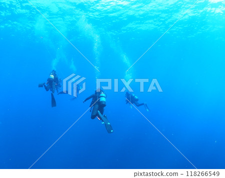 Diver floating in the blue sea Diver floating in the blue sea 118266549