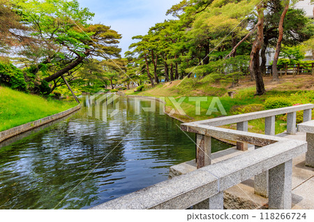 福島縣郡山市府本山公園(弁天池) 福島縣郡山市府本山公園(弁天池) 118266724