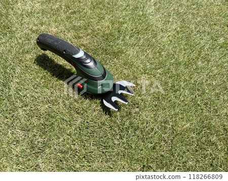 Grass cut at a height of 2cm and an electric lawnmower Grass cut at a height of 2cm and an electric lawnmower 118266809