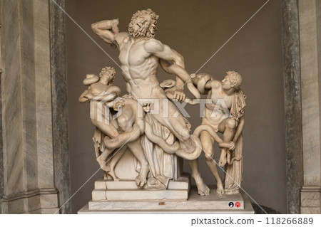 Vatican Museum 118266889