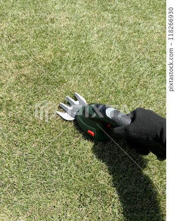 切割高度2cm的草坪及電動割草機 118266930