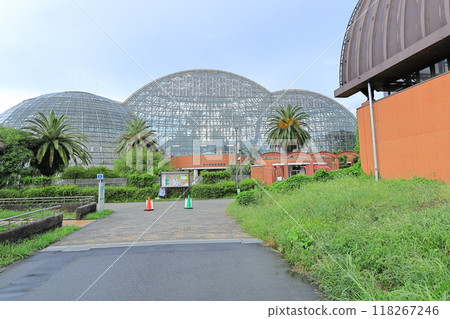 Yume no Island熱帶植物園 Yume no Island熱帶植物園 118267246