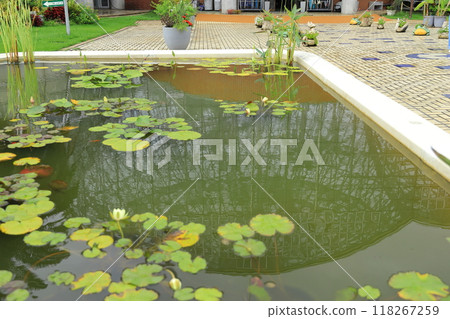 Yume no Island Tropical Botanical Gallery 118267259