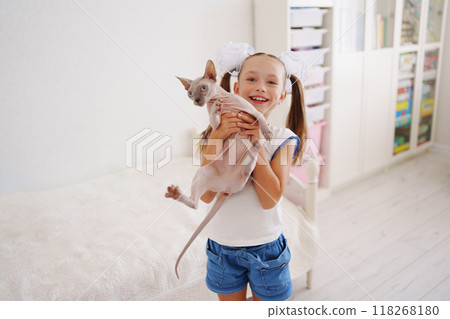 A cheerful little girl holds a bald purebred cat in her hands. A cheerful little girl holds a bald purebred cat in her hands. 118268180