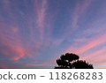 Shining in the sunset sky 118268283