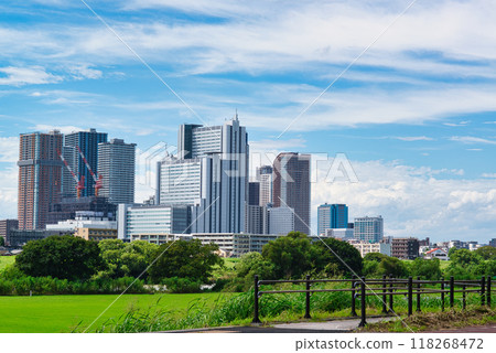 川崎市武藏小杉塔公寓群和櫻花樹 118268472