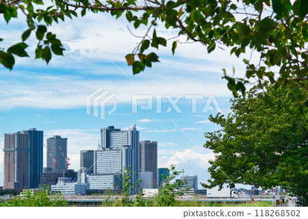 Kawasaki City: View of tower apartment buildings and rows of cherry blossom trees in Musashi-Kosugi Kawasaki City: View of tower apartment buildings and rows of cherry blossom trees in Musashi-Kosugi 118268502