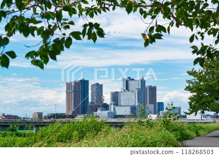 Kawasaki City: View of tower apartment buildings and rows of cherry blossom trees in Musashi-Kosugi Kawasaki City: View of tower apartment buildings and rows of cherry blossom trees in Musashi-Kosugi 118268503