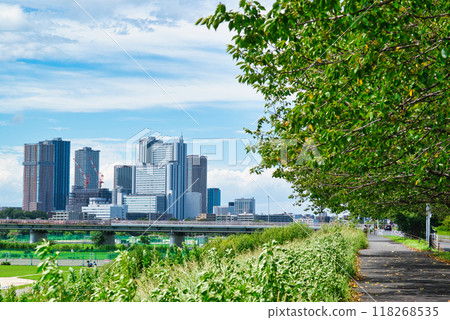 Kawasaki City: View of tower apartment buildings and rows of cherry blossom trees in Musashi-Kosugi 118268535