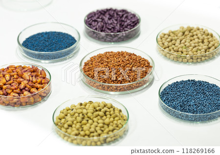 Colorful pesticide-treated rapeseed, sunflower, wheat, pea, soy, and corn seeds in a petri dish in the lab Colorful pesticide-treated rapeseed, sunflower, wheat, pea, soy, and corn seeds in a petri dish in the lab 118269166
