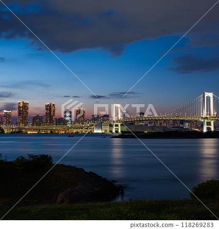 Rainbow Bridge at night as seen from the observation deck of a building 118269283