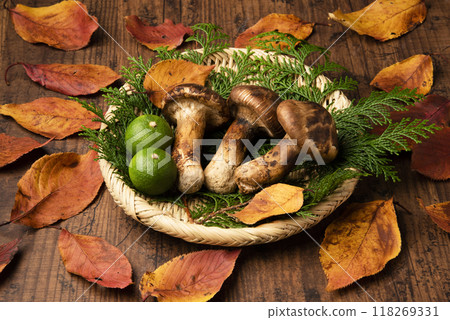Matsutake 118269331