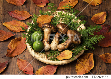 Matsutake 118269333