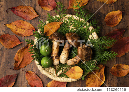 Matsutake 118269336