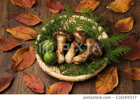 Matsutake 118269337