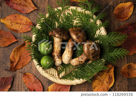 Matsutake 118269338