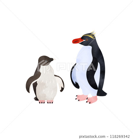 Macaroni penguin chicks and adults. Watercolor style illustration. 118269342