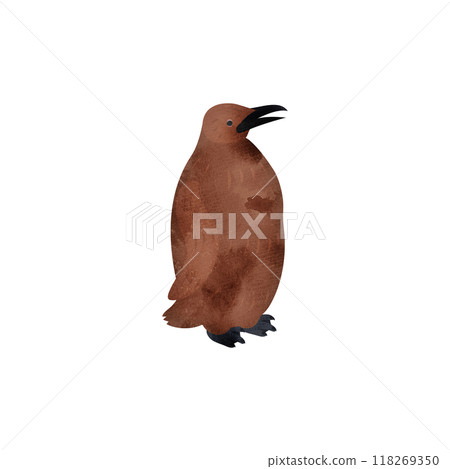King penguin chick. Watercolor style illustration. 118269350