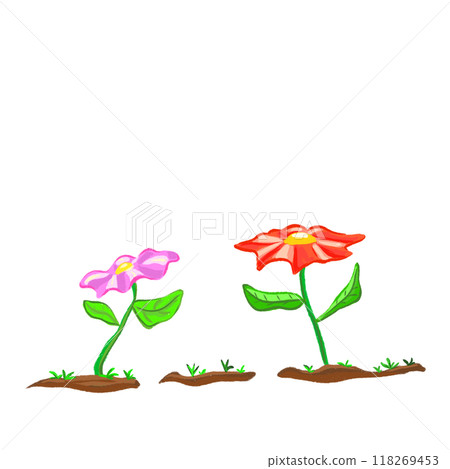 Two pink and red flowers on the ground isolated, plant background illustration 118269453