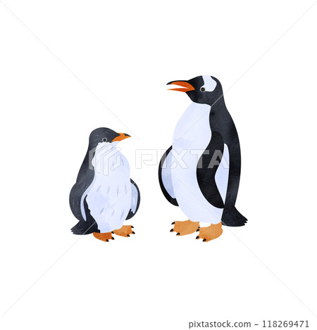 Gentoo penguin chick and adult. Watercolor style illustration. 118269471